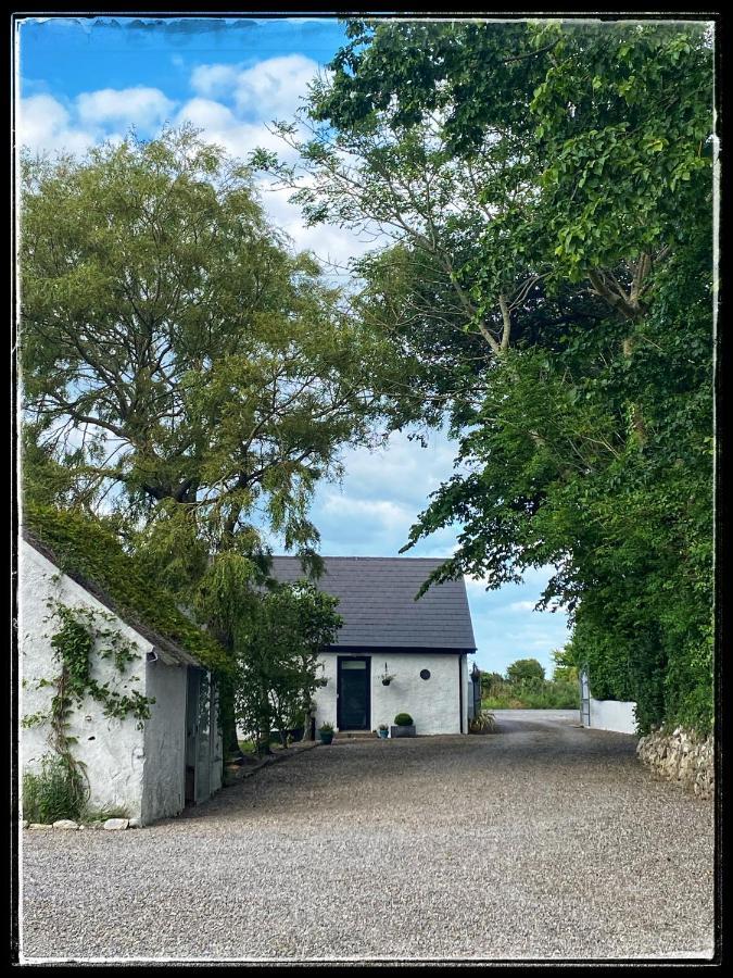 Sanctuary Lodge Cork Exterior photo